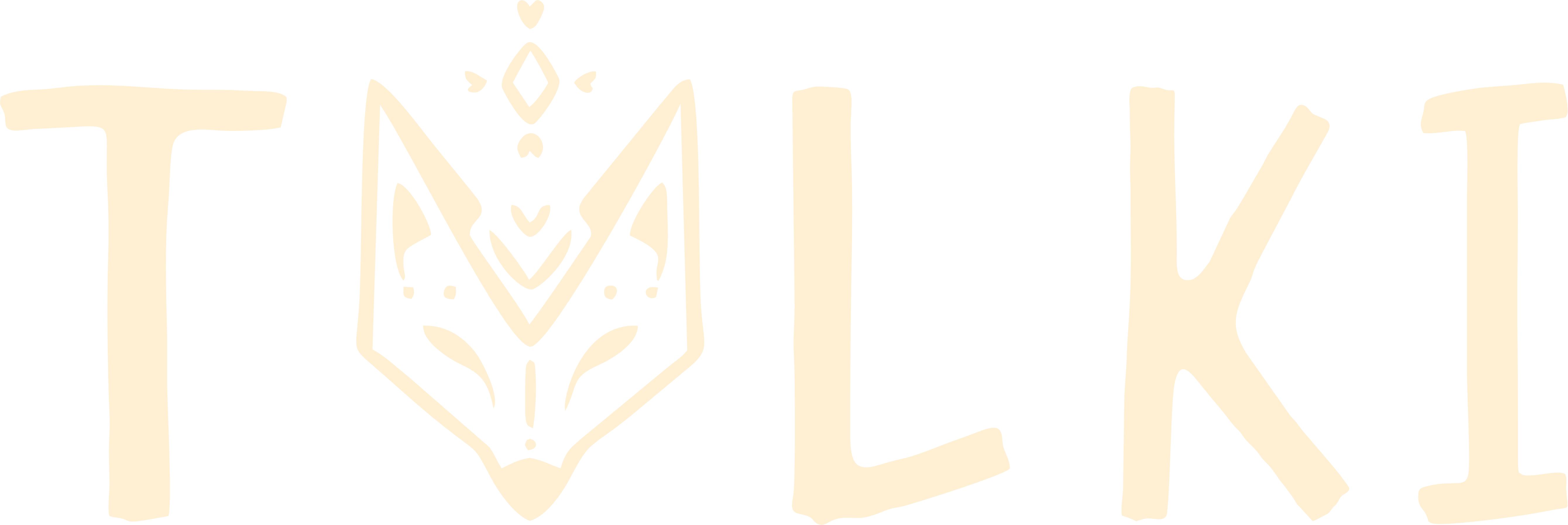 Логотип Tülki Studio